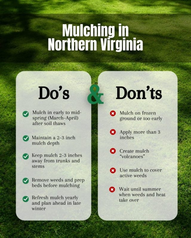 Craig's Lawn Care 17033851641 mulching Craig's Lawn Care 17033851641 mulching