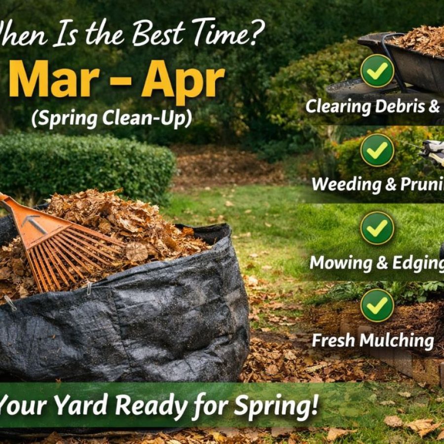 Smart lawn care moves for spring