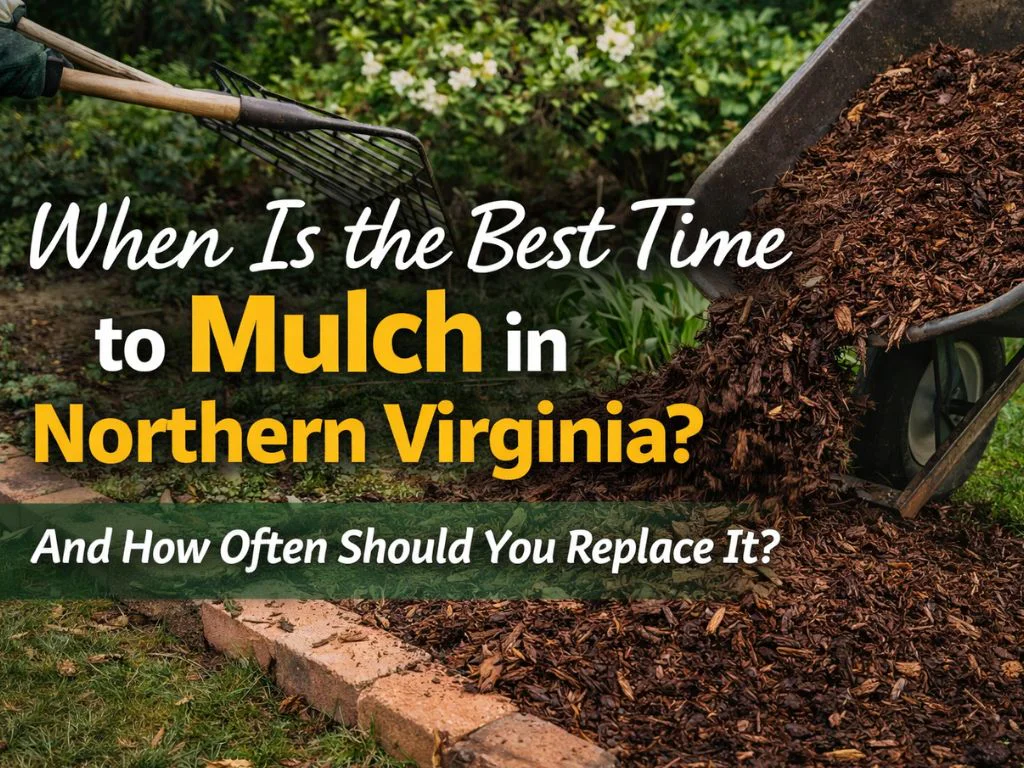 When Is the Best Time to Mulch in Northern Virginia