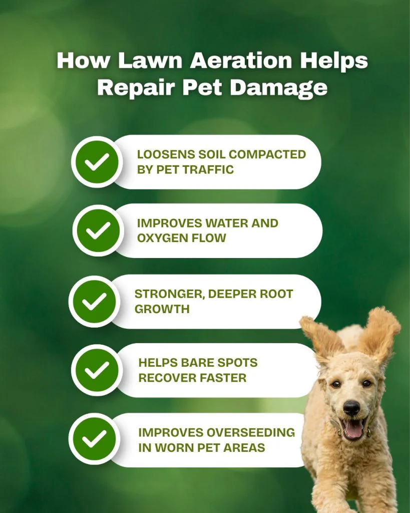 Craig's Lawn Care 10818 Fairchester Dr Fairfax, VA 22030 17033851641 lawn aeration (1)